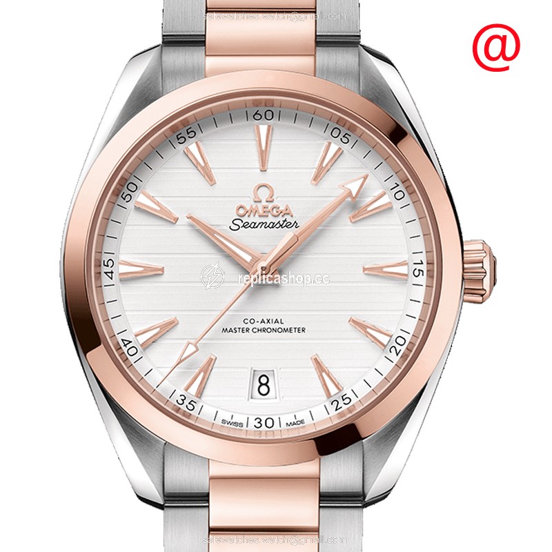 Replica OMEGA SEAMASTER 220.20.41.21.02.001 Replica OMEGA SEAMASTER 220.20.41.21.02.001