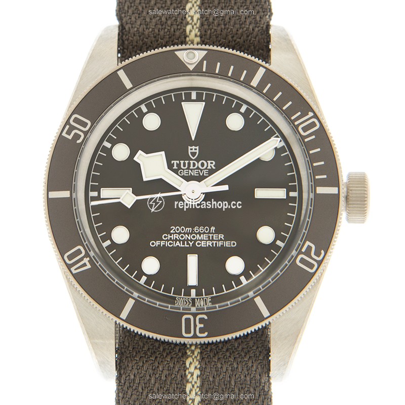 Replica TUDOR BLACK BAY 1958 79010SG CANVAS STRAP Replica TUDOR BLACK BAY 1958 79010SG CANVAS STRAP