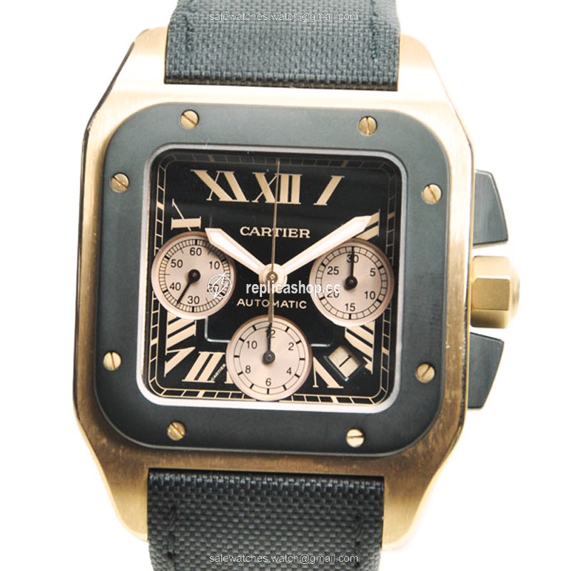 Replica CARTIER SANTOS W2020003 Replica CARTIER SANTOS W2020003