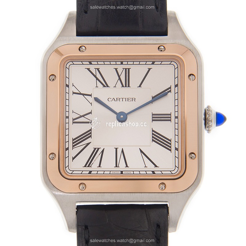 Replica CARTIER SANTOS W2SA0011 Replica CARTIER SANTOS W2SA0011