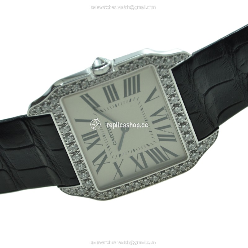 WaterMark (2)