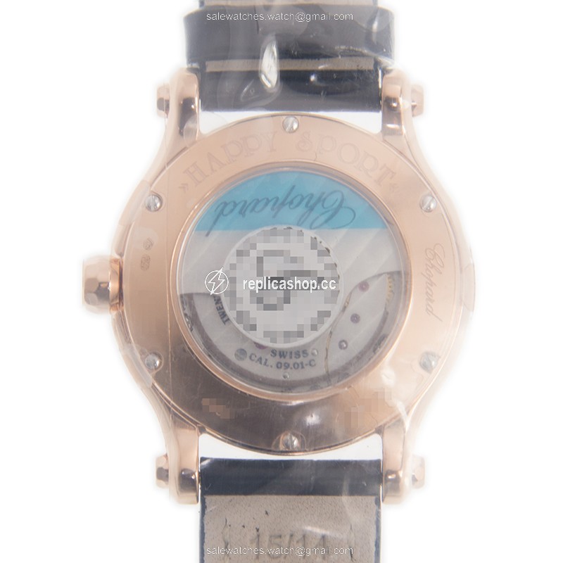 WaterMark (2)