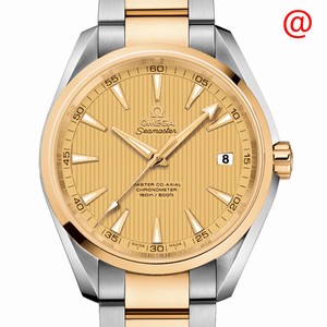 Replica OMEGA SEAMASTER 231.20.42.21.08.001