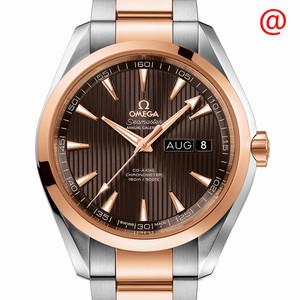 Replica OMEGA SEAMASTER 231.20.43.22.06.002